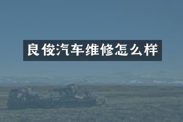 良俊汽车维修怎么样