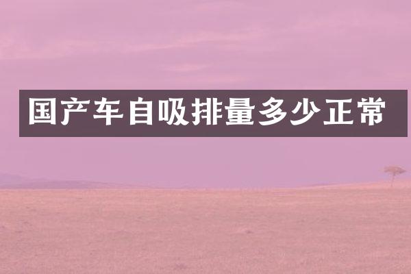 国产车自吸排量多少正常