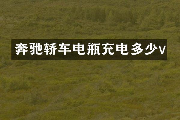奔驰轿车电瓶充电多少v