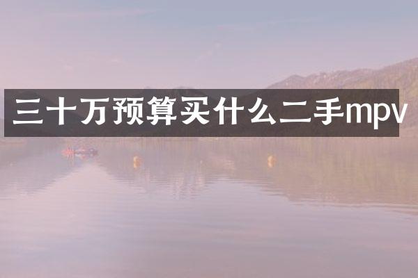 三十万预算二手mpv