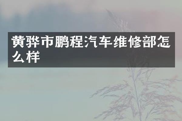 黄骅市鹏程汽车维修部怎么样