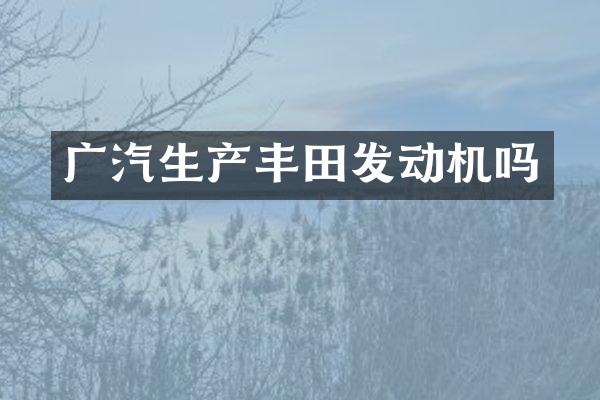 广汽生产丰田发动机吗