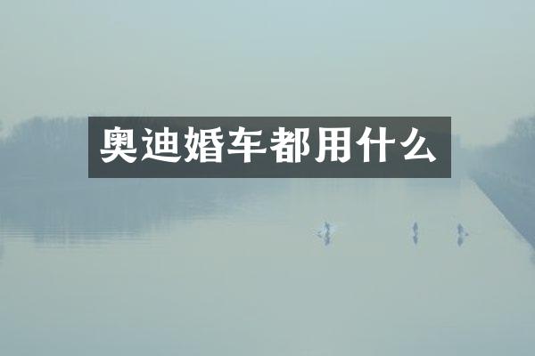 奥迪婚车都用什么