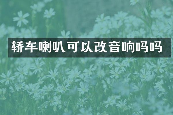 轿车喇叭可以改音响吗吗