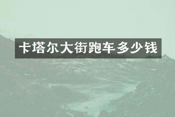 卡塔尔大街跑车多少钱