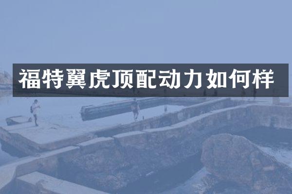 福特翼虎顶配动力如何样