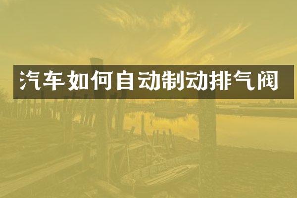 汽车如何自动制动排气阀