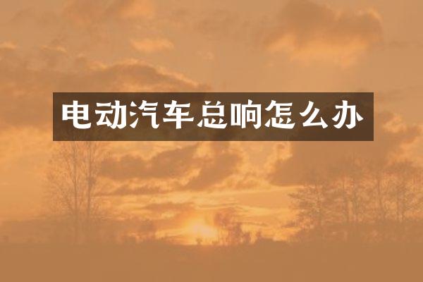 电动汽车总响怎么办