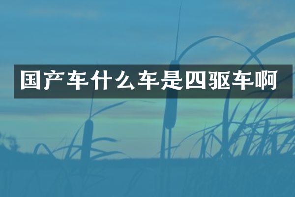 国产车什么车是四驱车啊