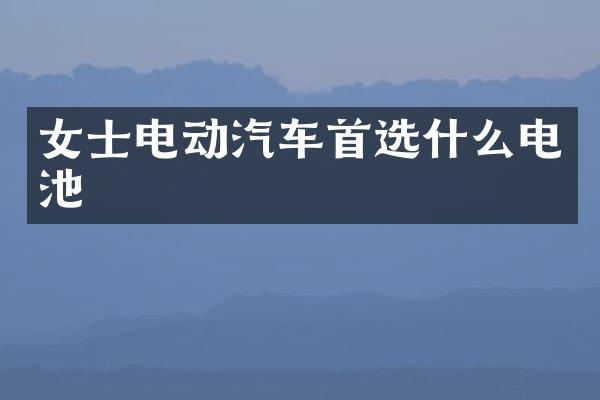 女士电动汽车首选什么电池