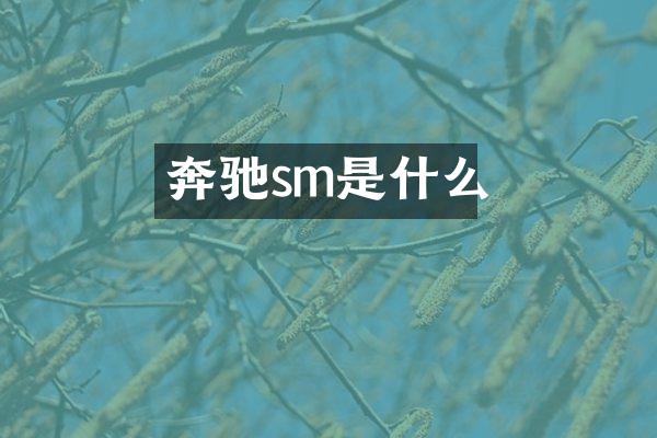 奔驰sm是什么