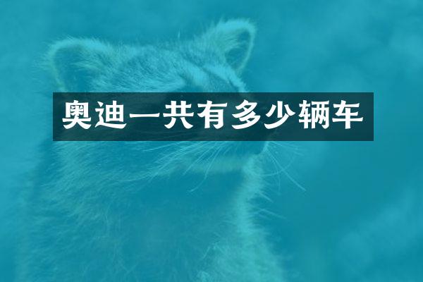奥迪一共有多少辆车