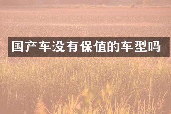 国产车没有保值的车型吗