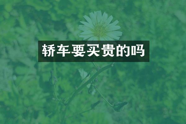 轿车要买贵的吗
