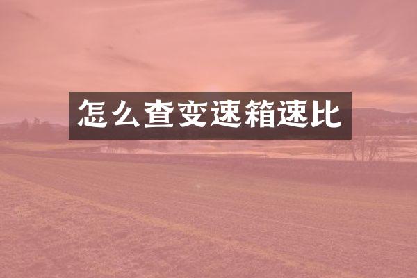 怎么查变速箱速比