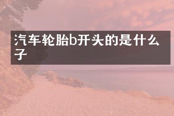 汽车轮胎b开头的是什么牌子