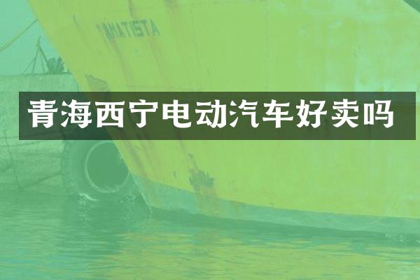 青海西宁电动汽车好卖吗