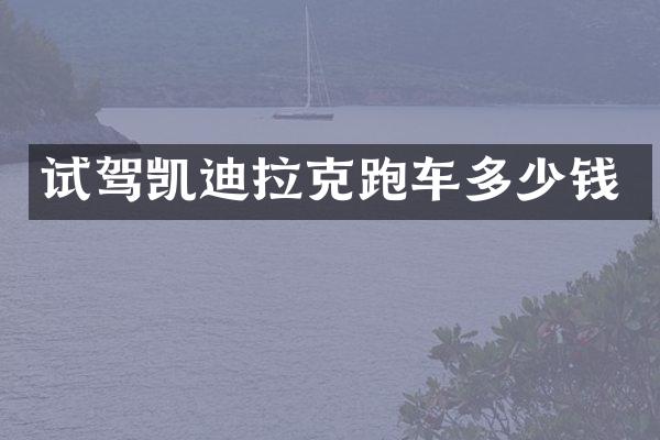 试驾凯迪拉克跑车多少钱