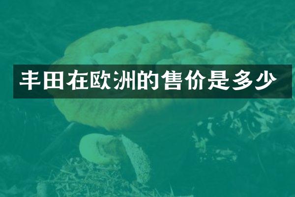 丰田在欧洲的售价是多少