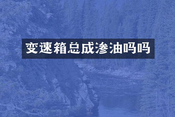 变速箱总成渗油吗吗