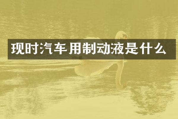 现时汽车用制动液是什么