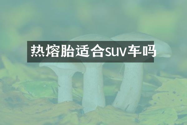 热熔胎适合suv车吗