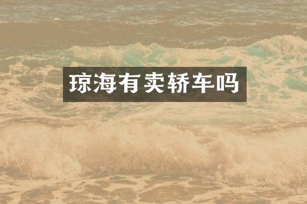 琼海有卖轿车吗