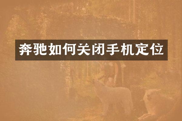奔驰如何关闭手机定位