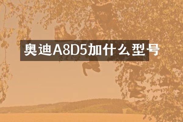 奥迪A8D5加什么型号