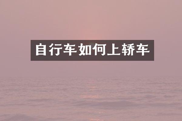 自行车如何上轿车