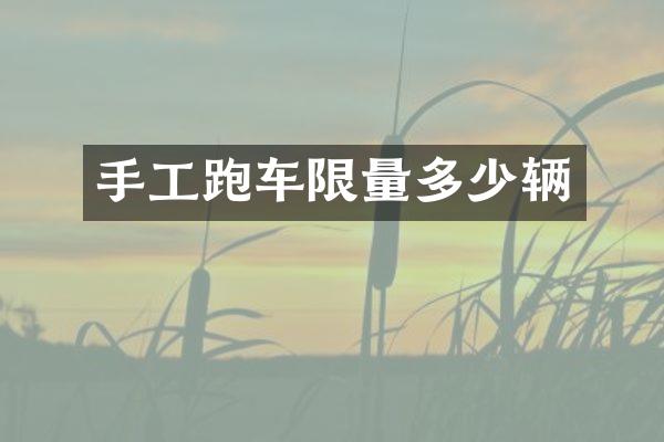 手工跑车限量多少辆