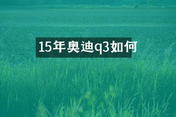 15年奥迪q3如何