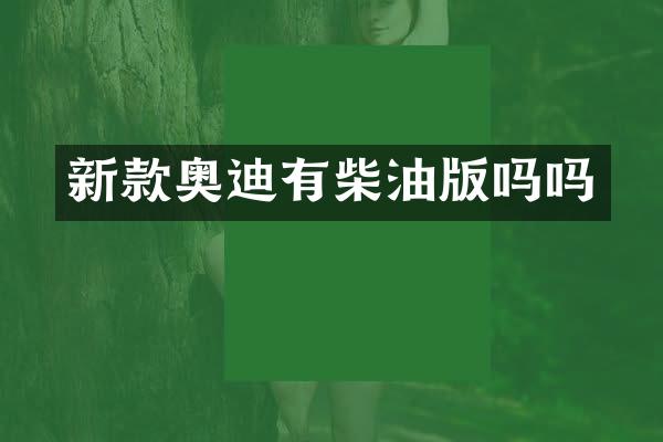 新款奥迪有柴油版吗吗