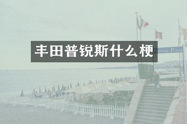 丰田普锐斯什么梗