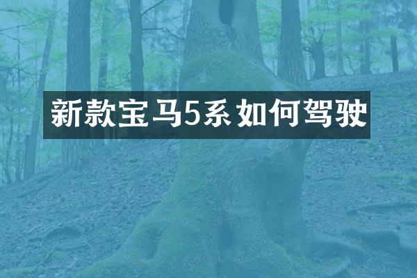 新款宝马5系如何驾驶