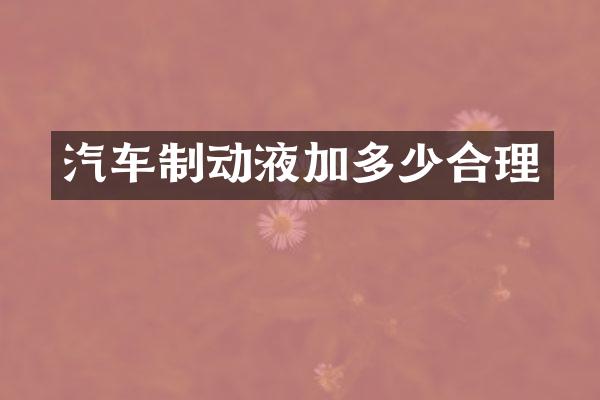 汽车制动液加多少合理