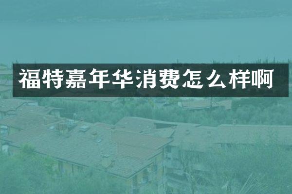 福特嘉年华消费怎么样啊