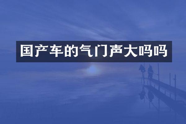 国产车的气门声大吗吗