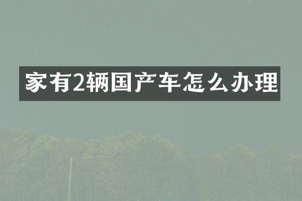 家有2辆国产车怎么办理