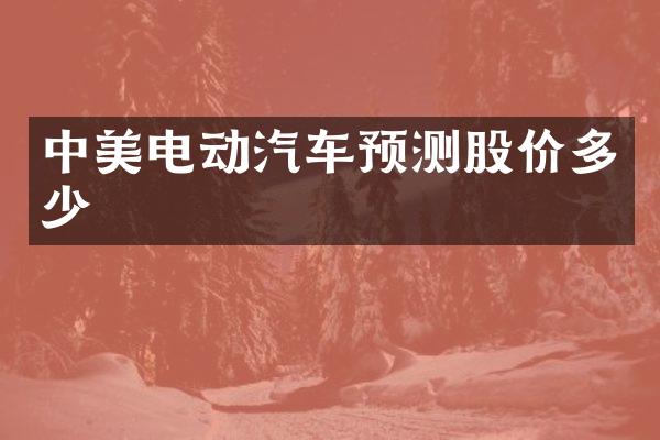 中美电动汽车预测股价多少
