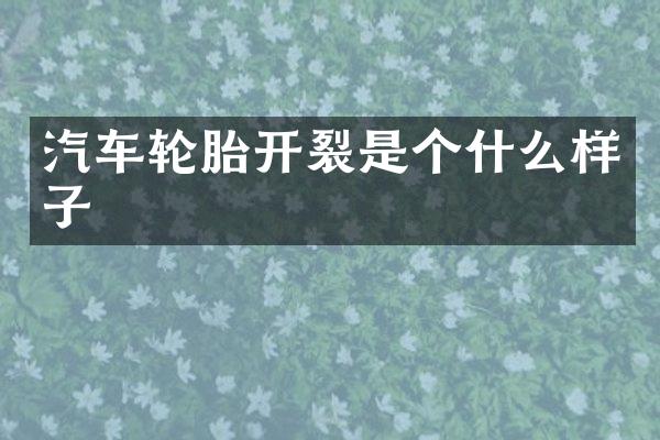 汽车轮胎开裂是个什么样子