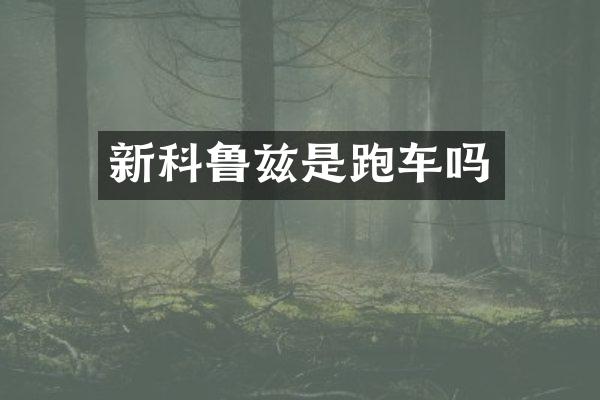 新科鲁兹是跑车吗