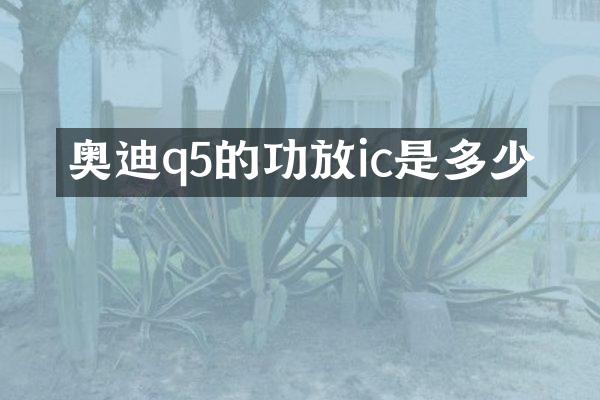 奥迪q5的功放ic是多少