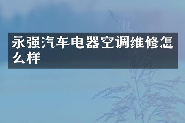 永强汽车电器空调维修怎么样
