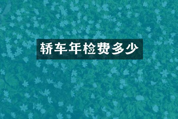 轿车年检费多少