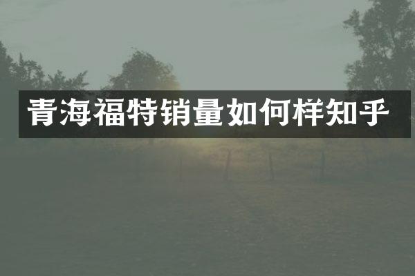 青海福特销量如何样知乎