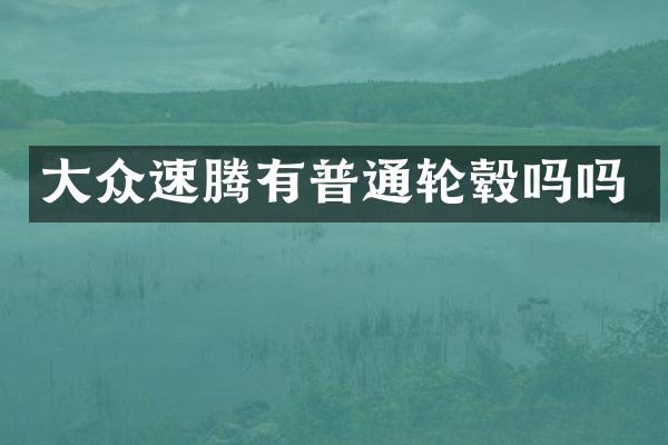 大众速腾有普通轮毂吗吗