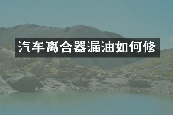 汽车离合器漏油如何修