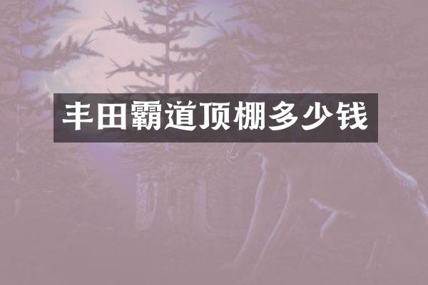 丰田霸道顶棚多少钱