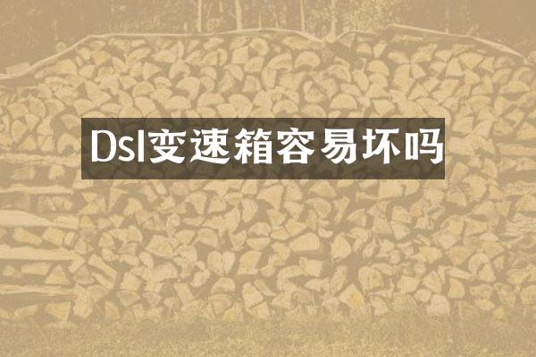 DsI变速箱容易坏吗